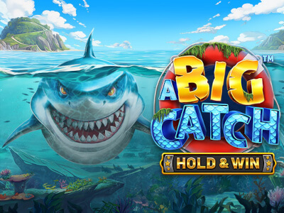Bet win login